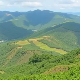 vagas de emprego em Santana de Parnaíba